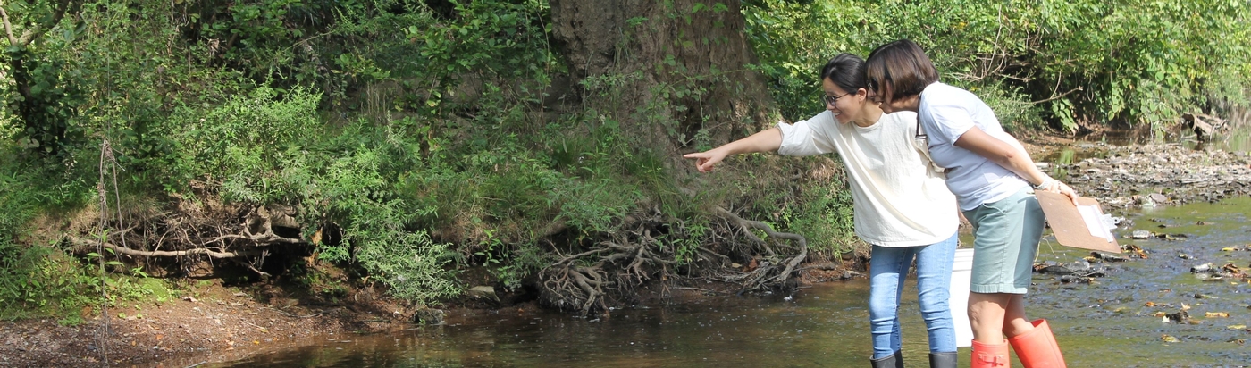 Two teachers are standing in the stream to observe wildlife, pointing to a crayfish.